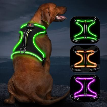 Imagem de Colete iluminado para cães Vizbrite LED recarregável para cães