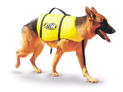 Imagem de Colete Salva Vidas Ativa Pet Vest (Tamanho M) - 9 a 18kg