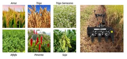 Colheitadeira Segadeira Agrícola à Gasolina 7 HP 212 CC 4 Tempos