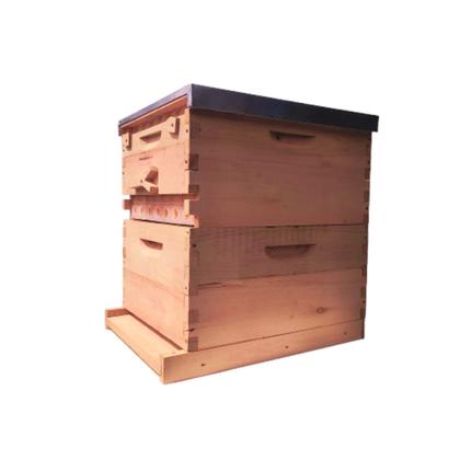 Imagem de Colmeia Automática Mauá c/ 7 Autoframes