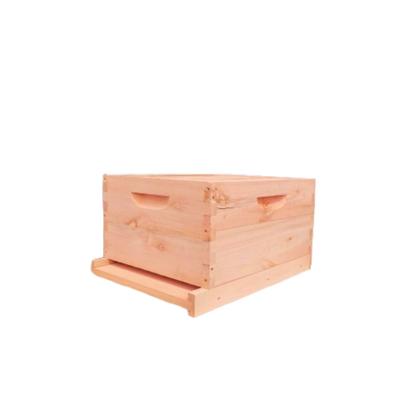 Imagem de Colmeia Automática Mauá c/ 7 Autoframes