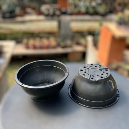 Imagem de Combo 20 vasos cuia 21 cm 2 litros  Rosas do deserto Orquideas Samambaias Cactos Suculentas