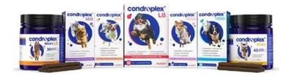 Imagem de Combo 4 Unidades Condroplex 1000 Para Cães 60 Capsulas Avert