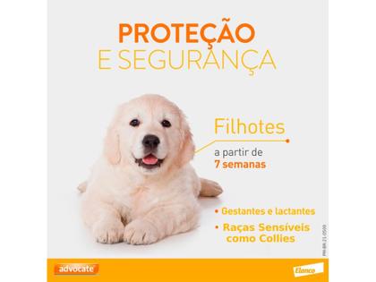 Imagem de Combo Advocate Cão 2,5ml 10 a 25kg - 3 Pipetas