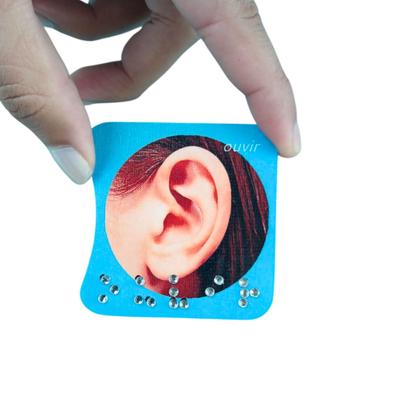 Imagem de Combo Jogo dos Sentidos e Jogo da memória animais em Braile com estojo MDF