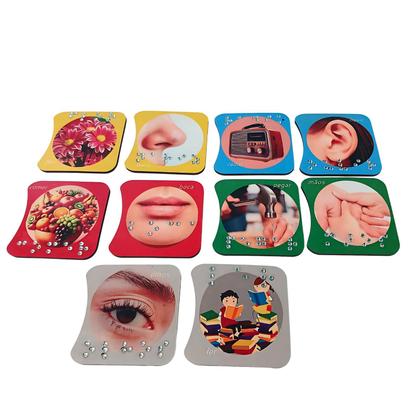 Imagem de Combo Jogo dos Sentidos e Jogo da memória animais em Braile com estojo MDF