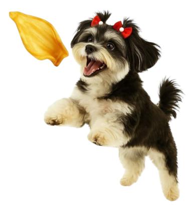 Imagem de Combo Modedor Petisco Natural Orelha Bovina Desidratadas E 1 Osso Fêmur Suino