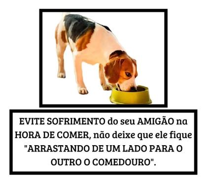 Imagem de Comedouro Bebedouro Cães Alumínio Pesado Polido Antiderrapante Gigante 3L