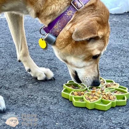 Imagem de Comedouro Lento Mandala eTray SodaPup Tigela de Enriquecimento Interativo Para Cachorro - Verde