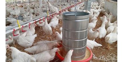 Imagem de Comedouro Tubular 10kg p/ Frango Aves Galinha Faisão