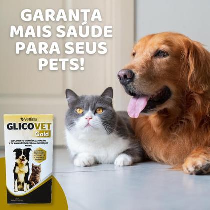 Imagem de Complexo Suplemento Vitáminico E Mineral Glicovet Gold 60ml Para Cães E Gatos