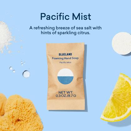 Imagem de Comprimidos de recarga de sabonete espumante para mãos BLUELAND Pacific Mist 270 ml