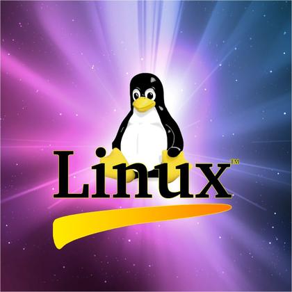 Imagem de Computador CPU Intel i3-550, 8GB, SSD 128GB - Linux