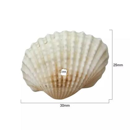 Imagem de Concha do Mar com Furo 25mm x 30mm Cru em Plástico com 50 peças