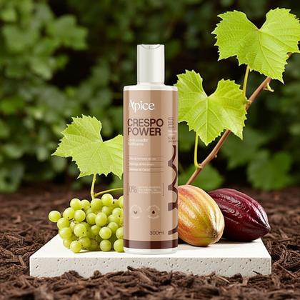 Imagem de Condicionador Acidificante Apice Crespo Power 300ml