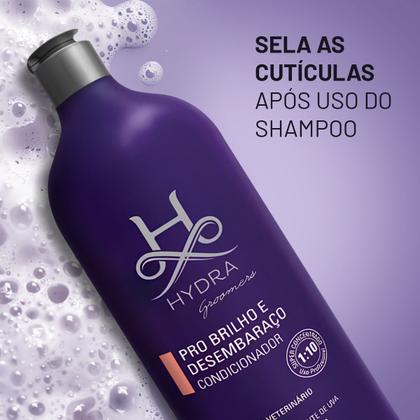 Imagem de Condicionador Hydra Pro Brilho E Desembaraço 1 Litro Neutro