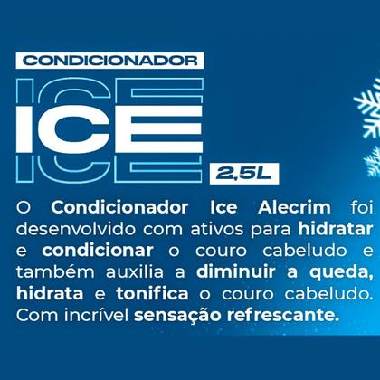 Imagem de Condicionador Lavatório Ice 2,5L - Sachê Professional