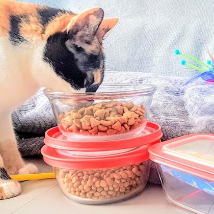 Imagem de Conjunto 03 Potes Redondo De Vidro 600ml Pequeno com Tampa Plástica Facilitá Marinex