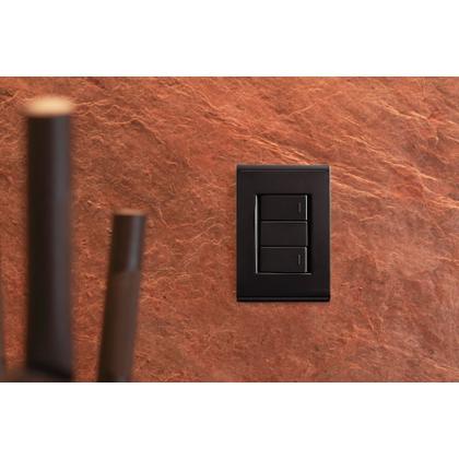 Imagem de Conjunto 4x2 Tramontina Liz Grafite 2 Interruptores Simples 10A~250V