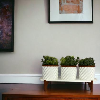 Imagem de Conjunto bandeja trio cachepo primo