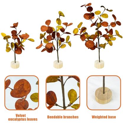 Imagem de Conjunto de 6 em cascata de árvores de eucalipto de mesa de outono