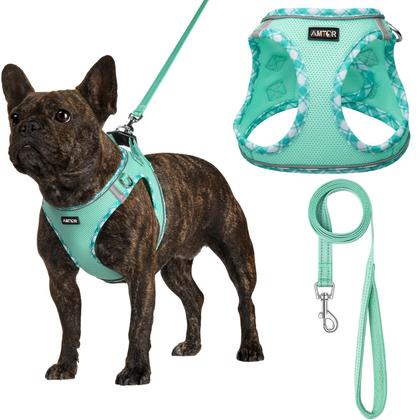 Imagem de Conjunto de arnês para cães AMTOR Small com coleira para treinar e caminhar