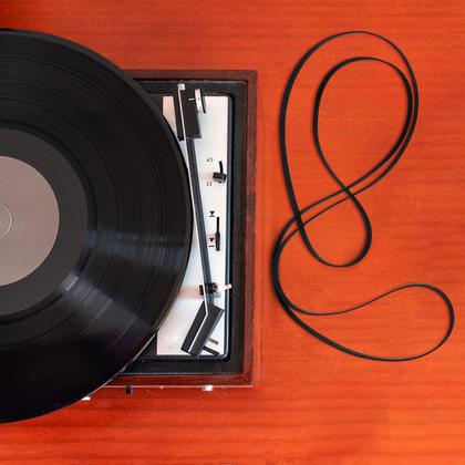 Imagem de Conjunto de cinto giratório Frienda, 10 peças para reparo e substituição