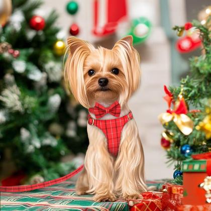 Imagem de Conjunto de coleira e coleira para cães Beirui Cute Extra Small