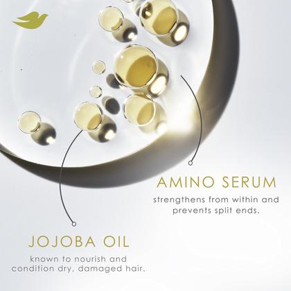 Imagem de Conjunto de cuidados com o cabelo Dove Amino Curl Regimen, shampoo e condicionador