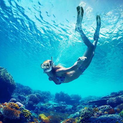 Imagem de Conjunto de mergulho ZEEPORTE Mask Fin Snorkel com equipamento para adultos e bolsas