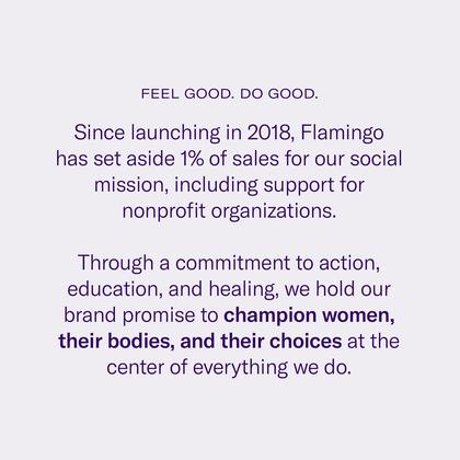 Imagem de Conjunto de navalhas Flamingo para mulheres com 1 alça, 4 recargas e suporte