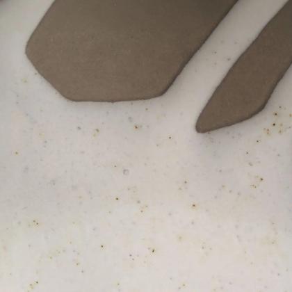 Imagem de Conjunto de Pratos Rasos 04 Peças Orgânico Eco Pampa Porto Brasil