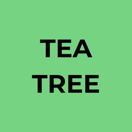 Imagem de Conjunto de shampoo e condicionador Soapbox com óleo de melaleuca 1L