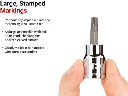 Imagem de Conjunto de soquetes Torx Bit TEKTON 3/8" Drive de 12 peças (T10-T60)