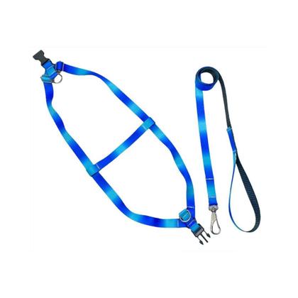 Imagem de Conjunto guia com peitoral especial