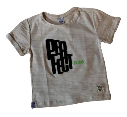 Imagem de Conjunto Infantil Masculino Camiseta + Bermuda Perfect Boys