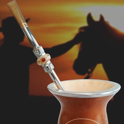 Imagem de Conjunto Kit Cuia E Bomba Para Chimarrão Mate Terere Porongo
