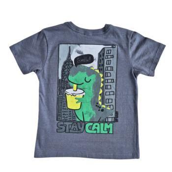 Imagem de Conjunto Masculino de Camiseta de Malha e Bermuda de Moletom sem Felpa Cores Cinza e Verde - Up Baby