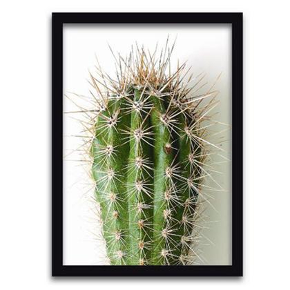 Imagem de Conjunto Quadros Decorativos 3 peças 20x30 Cactos