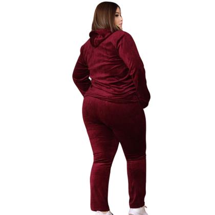 Imagem de Conjunto Veludo Plush Calça Com Bolso Blusa Capuz Zíper