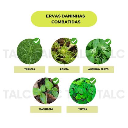 Imagem de Controla Tiririca Kapina 60ml Gramado Livre De Ervas Daninhas