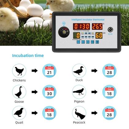 Imagem de Controlador de Temperatura para Incubadora Chocadeira de Ovos W9002 NFe