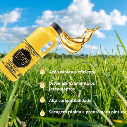 Imagem de Convertedor De Ferrugem Em Base P/ Pintura 500ml TF7