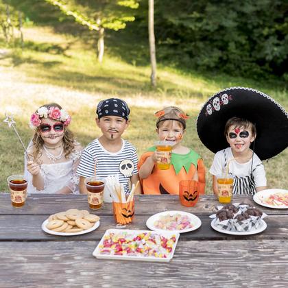 Imagem de Copos de festa descartáveis Magic Castle TEASIK 16 onças (60 peças)