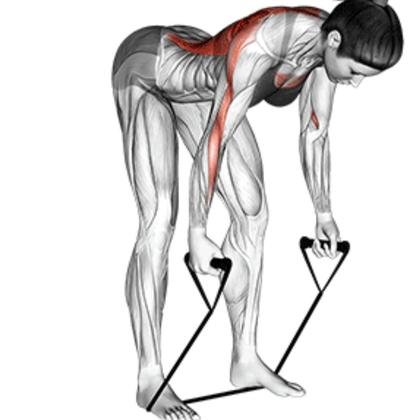 Imagem de Corda elástica de treino muscular preta 1,20m com puxadores