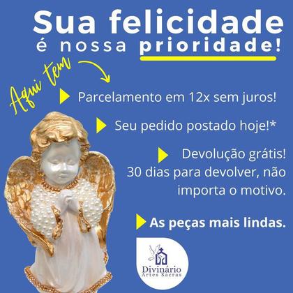 Imagem de Cordão Pingente Nossa Senhora Zircônia Azul Banhado Ouro 18k