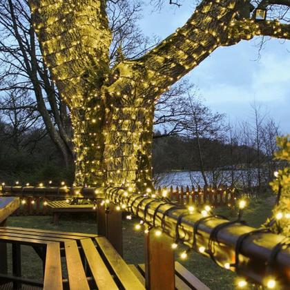 Imagem de Cordão Pisca 100 Led Prova Dágua Fixo Branco Quente Fio Verde 10m Decor Natal 220v