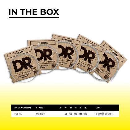 Imagem de Cordas de baixo DR Strings LEGEND Polished Flatwound Stainless