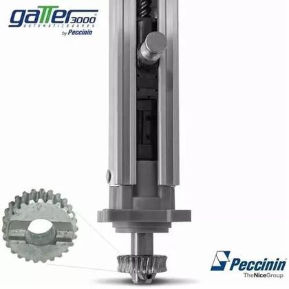 Imagem de Coroa Zamac Motor Basculante Pivo Gatter Peccinin Nice