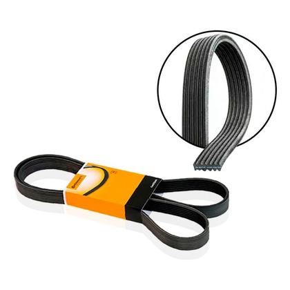 Imagem de Correia Dentada Poly V Tensor Focus 1.6 2013 A 2015